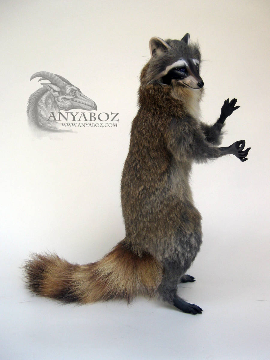 Jeremy the Raccoon Room Guardian by AnyaBoz