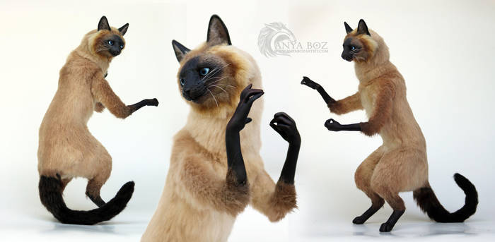 Siamese Cat Room Guardian by AnyaBoz
