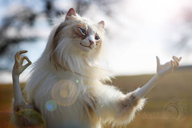 Ragdoll Cat Room Guardian by AnyaBoz