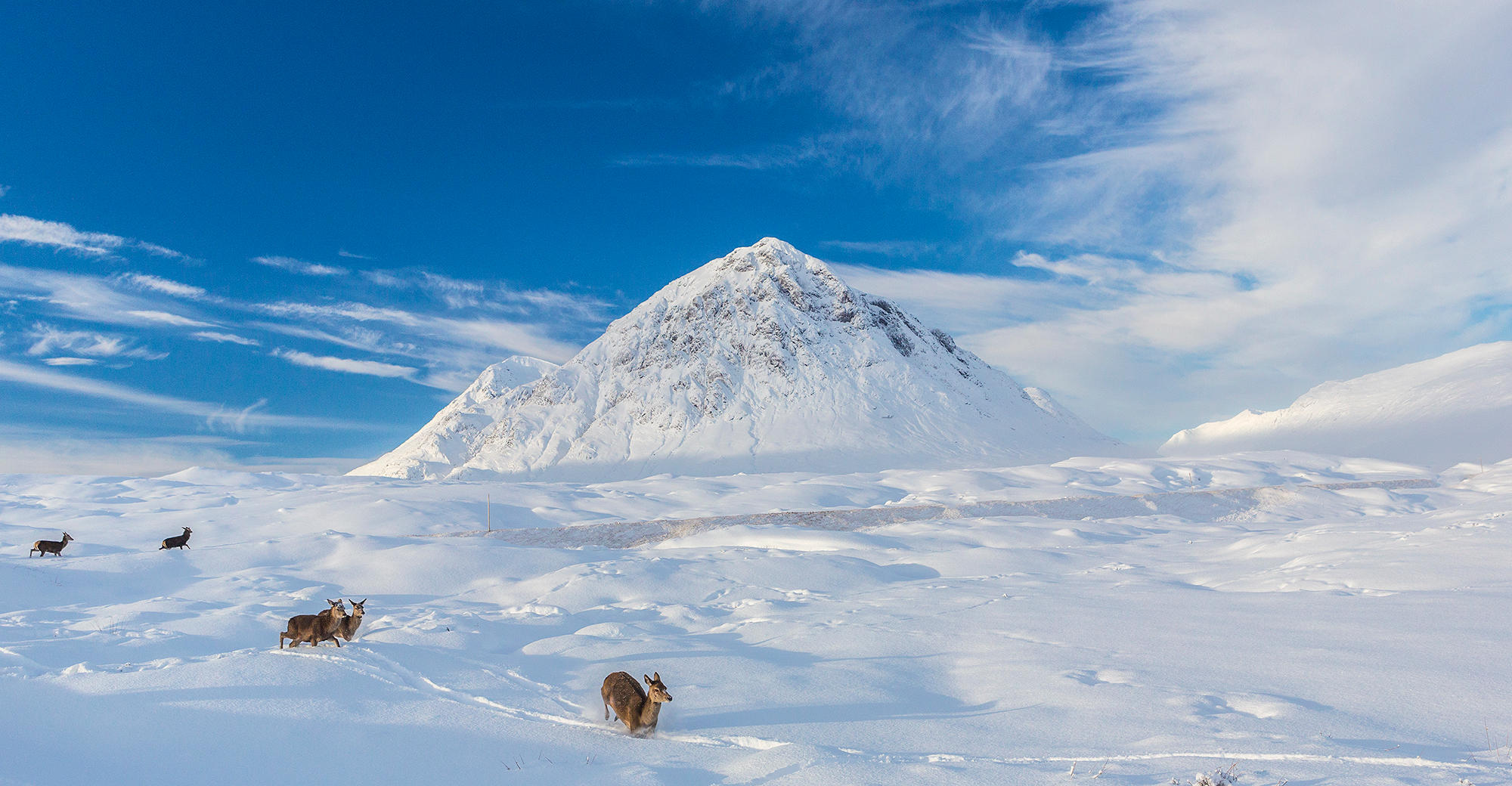 Buachaille Etive Mor by newcastlemale