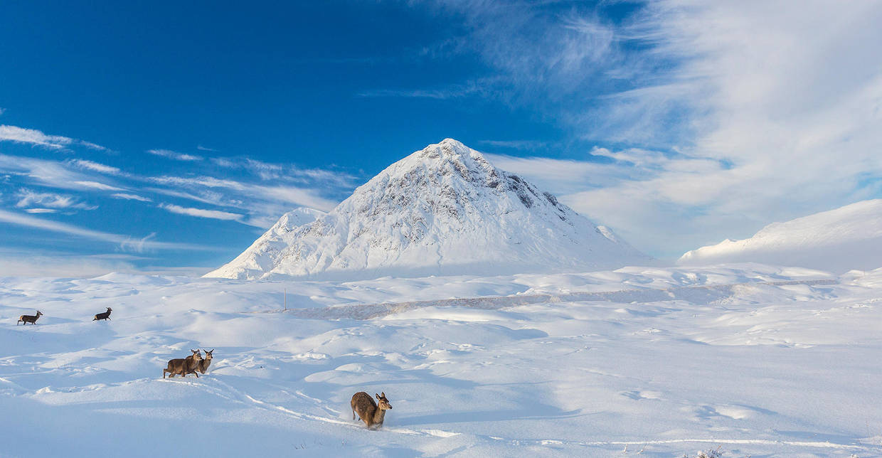 Buachaille Etive Mor by newcastlemale