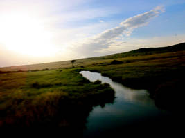 Twilight Stream by NeMeQuittePasMonCher