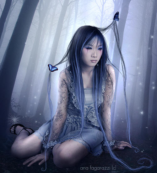 night butterflies by AF-studios