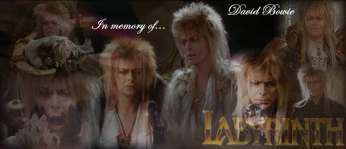 In Memory of David Bowie by Lady1Venus