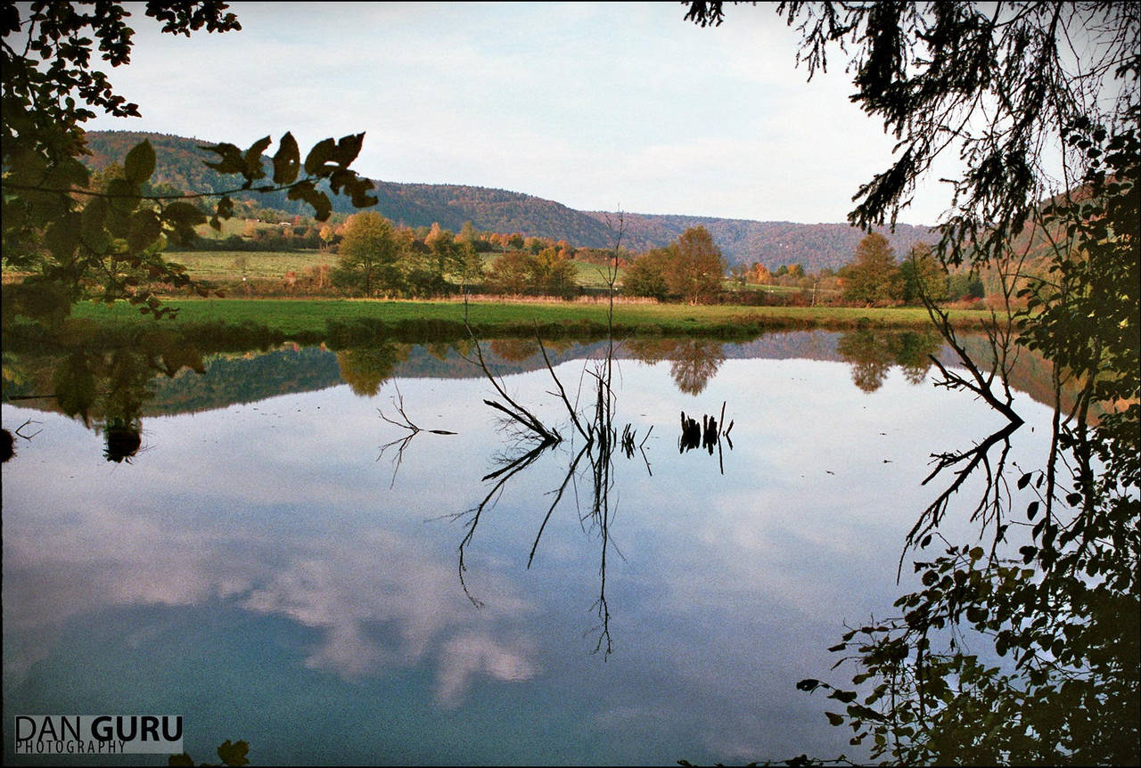 Gundlfinger Altwasser I by RoqqR