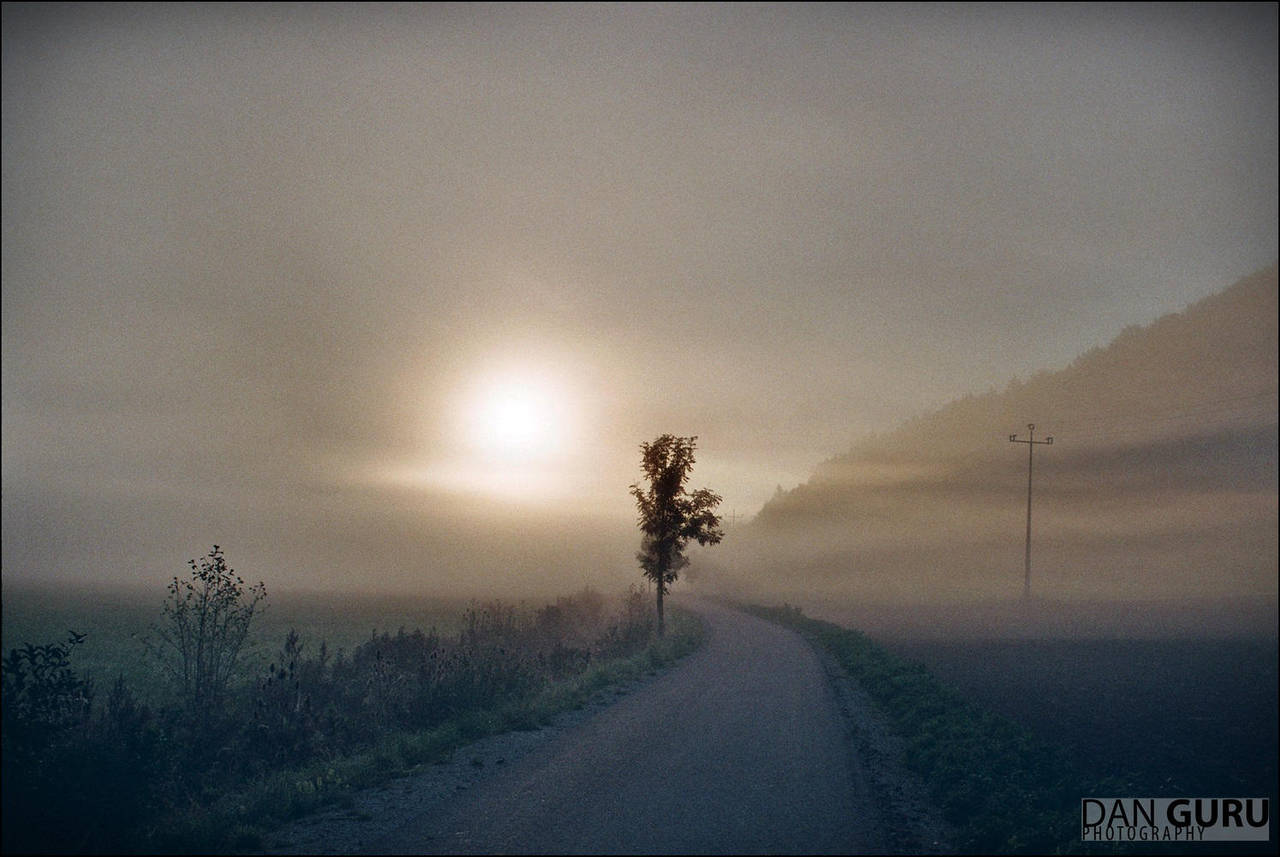 Through Fog - Towards East by RoqqR