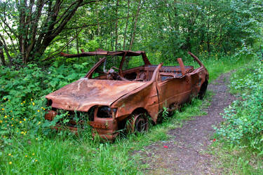 Burnt out Fiesta by Spinneyhead
