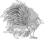 Gryphlines by Shalmons