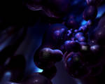 Genetic Fingerprinting by El-Nombre