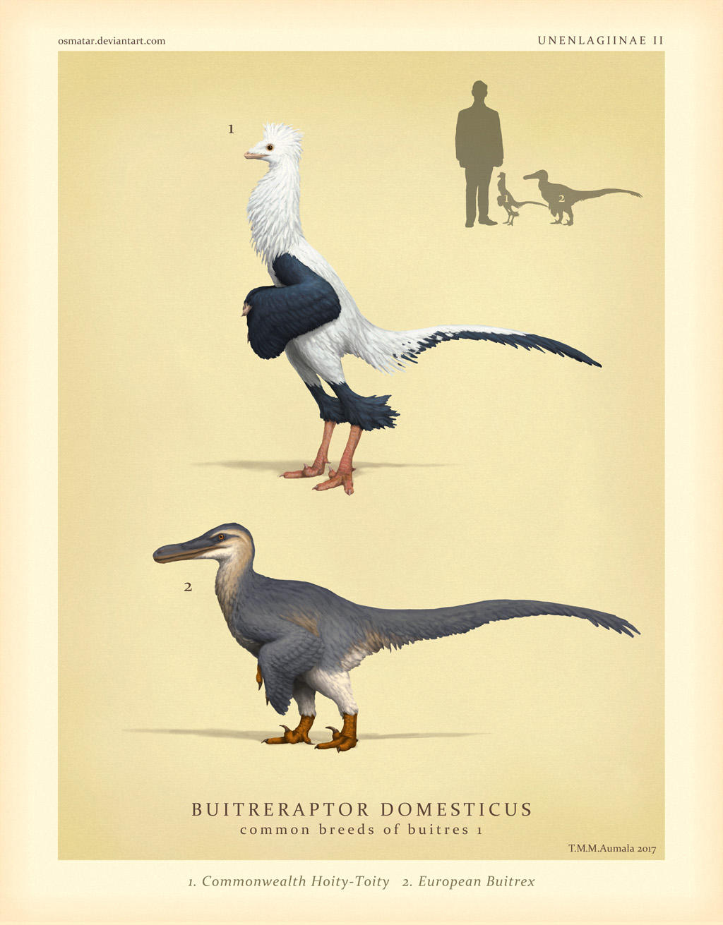 Domestic Buitre Breeds by Osmatar