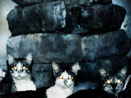 Usis-pusis by MelsPanah