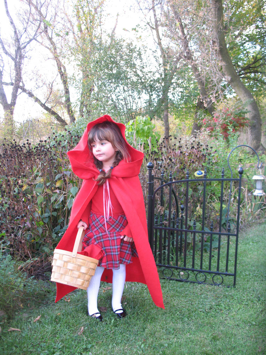 Little Red by Nept