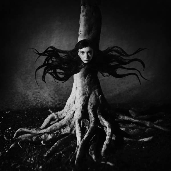 L'arbre by Feebrile
