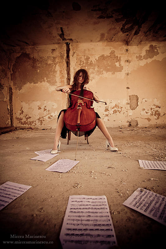 Cello Concert for nature 2 by MirceaMarinescu on DeviantArt