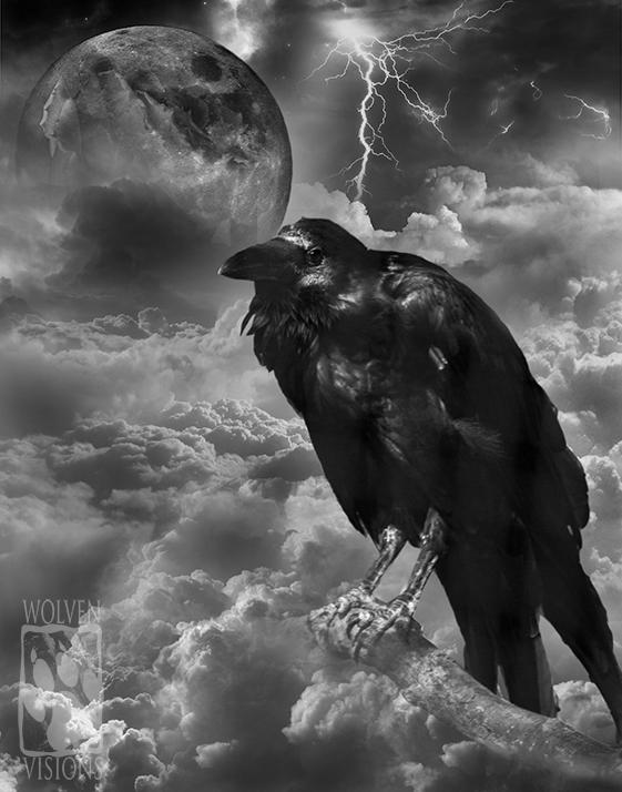 Raven by WolvenVisions