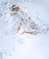 Splash by b-e-c-k-y