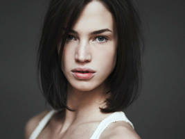 crista by memelsteak