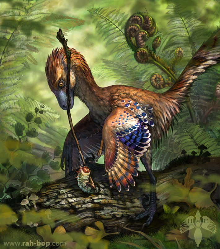 Jinfengopteryx elegans by rah-bop