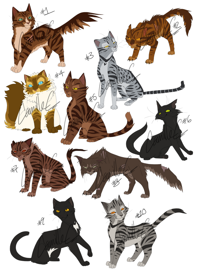 Warrior Cats Adoptables: Birds of Prey (CLOSED) by LotusLostInParis on ...