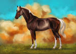 Turbo by blackseagull