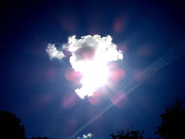 Flower of light by forvintri