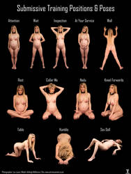 Submissive Pose Chart - Ashleigh McKenzie by LexLucas