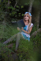 Alice in Wonderland by elara-dark