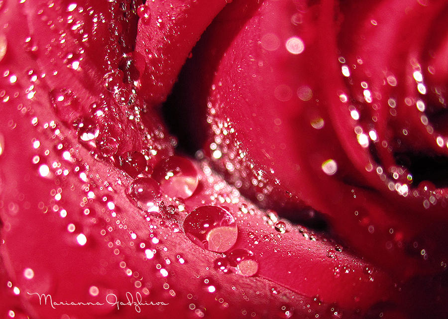 Liquid Brilliants by Marianna9