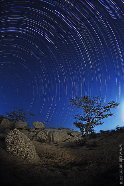 Taif Star Trails by almumen