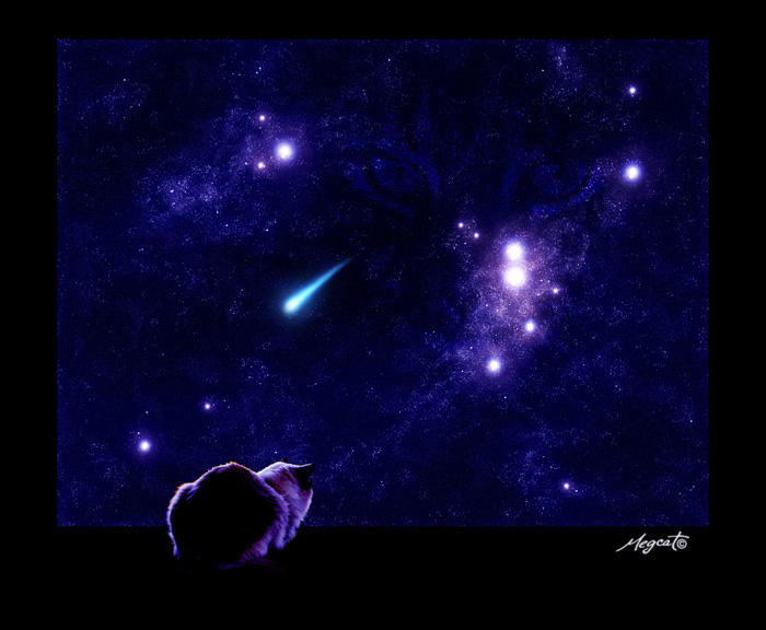 Beyond Tomorrow by megcat