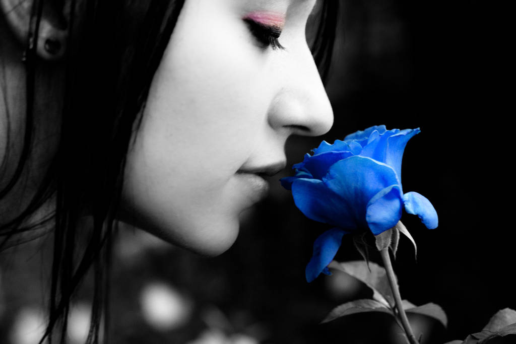 Stop and Smell Blue Roses by OrangeHeartPhoto