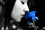 Stop and Smell Blue Roses by OrangeHeartPhoto
