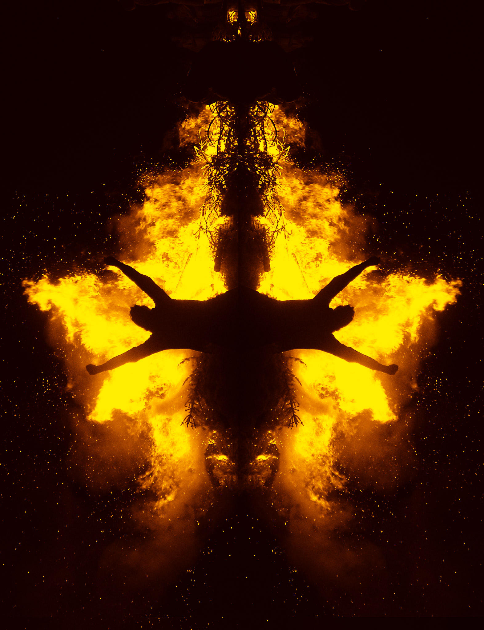 Rorschach Test on Fire by GiovanniZero
