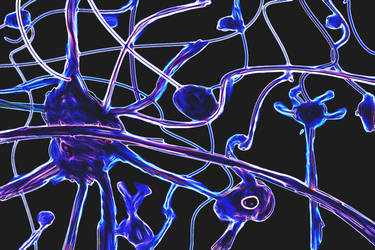 Neuronal Art v883 by lv888
