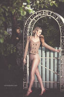 The Gate by Amanda-Diaz