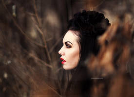 Her Dreams by Amanda-Diaz