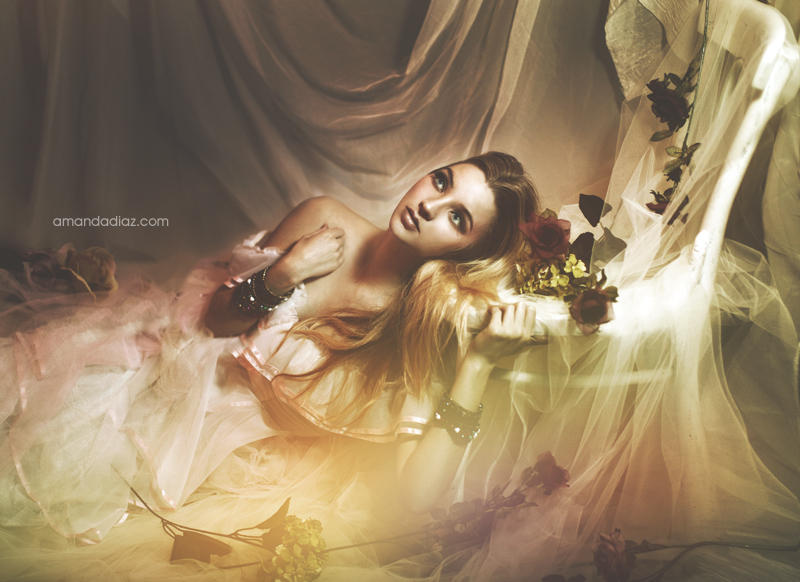 Dead Romance II by Amanda-Diaz