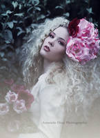 Fairy's Portrait by Amanda-Diaz