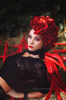 Rose Red III by Amanda-Diaz