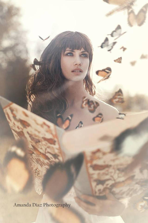 Lost Butterflies by Amanda-Diaz