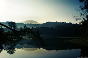 Morning Glory by adityapudjo
