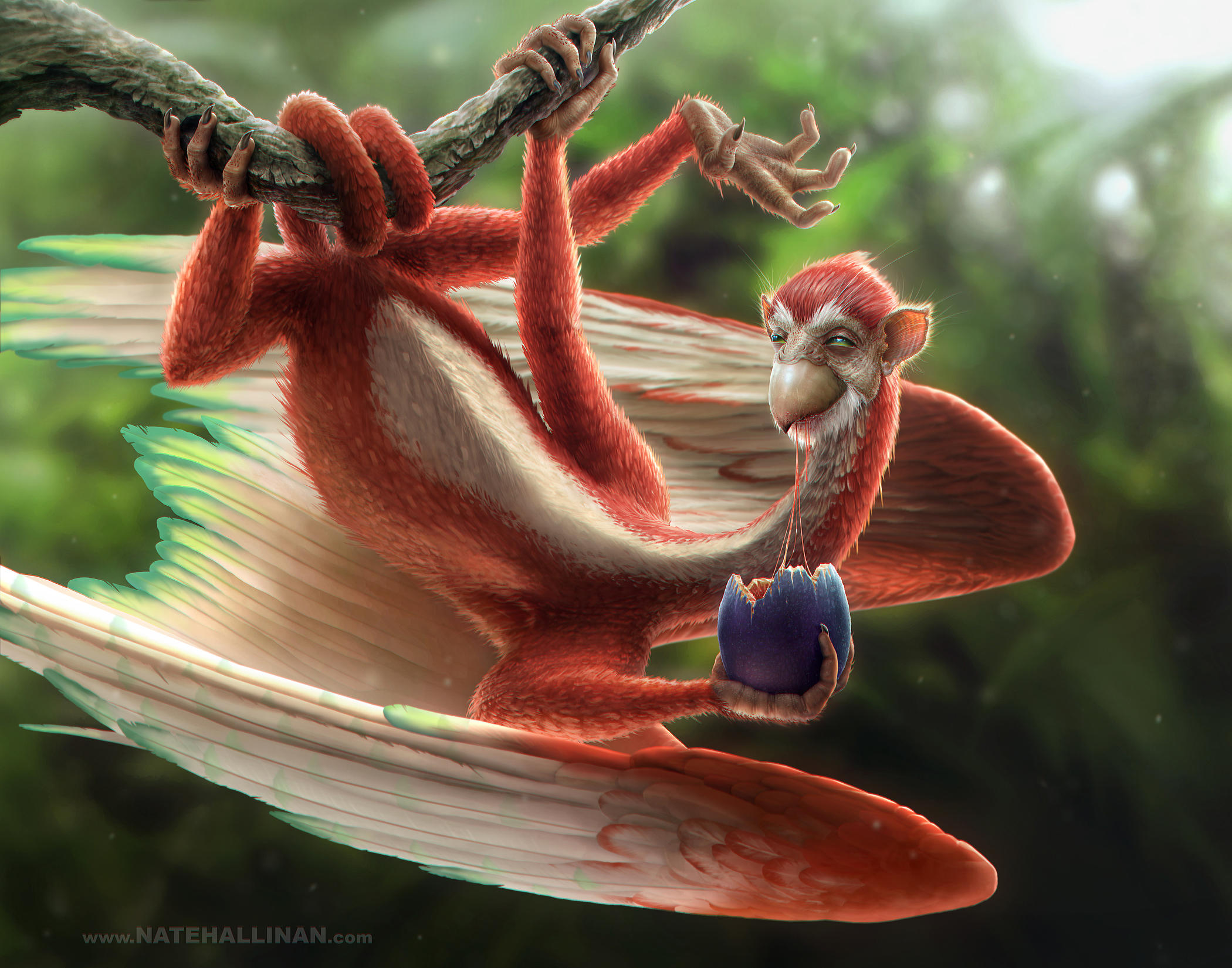 Niddler - Pirates of Dark Water by NateHallinanArt