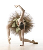 starlit by EchoedDreams