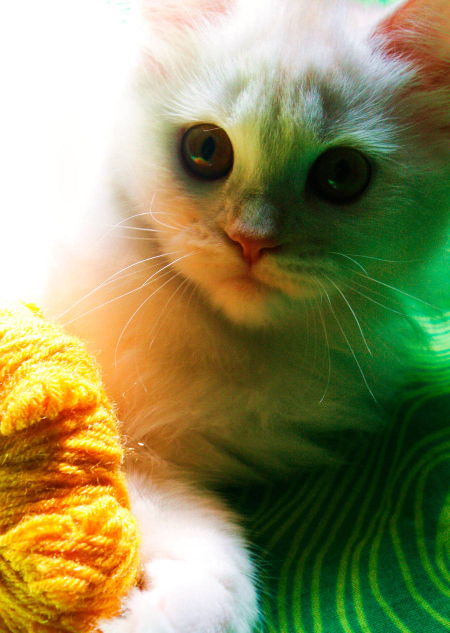 Green and Orange by BKLH362