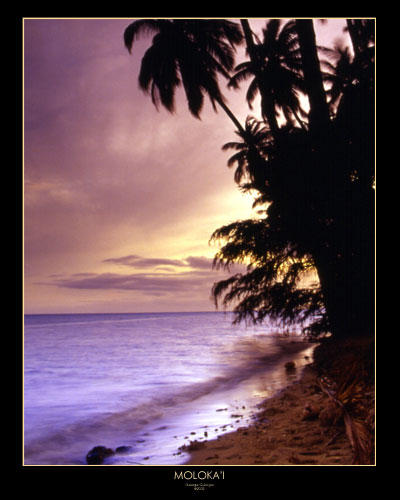Moloka'i by QNetX