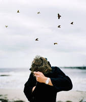 and birds. by chiliphili