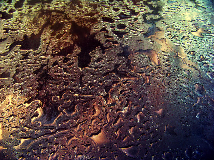 Vibrant HD Rain Texture by ParadisiacPicture