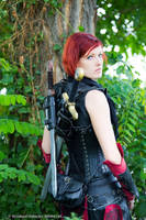 Dragon Age: Origins - [Red/]Grey Warden by LadyTenebraeTabris