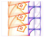Snakes and Ladders by 2BORN02B