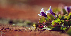 sunbath by juja-tgMd